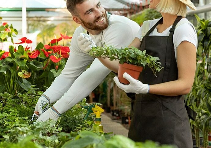 Choisir les bonnes plantes pour votre espace