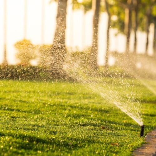 Système d’arrosage et récupération d’eau